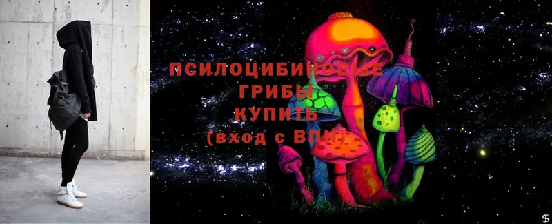 кракен онион  Озёры  Псилоцибиновые грибы Psilocybine cubensis  как найти  